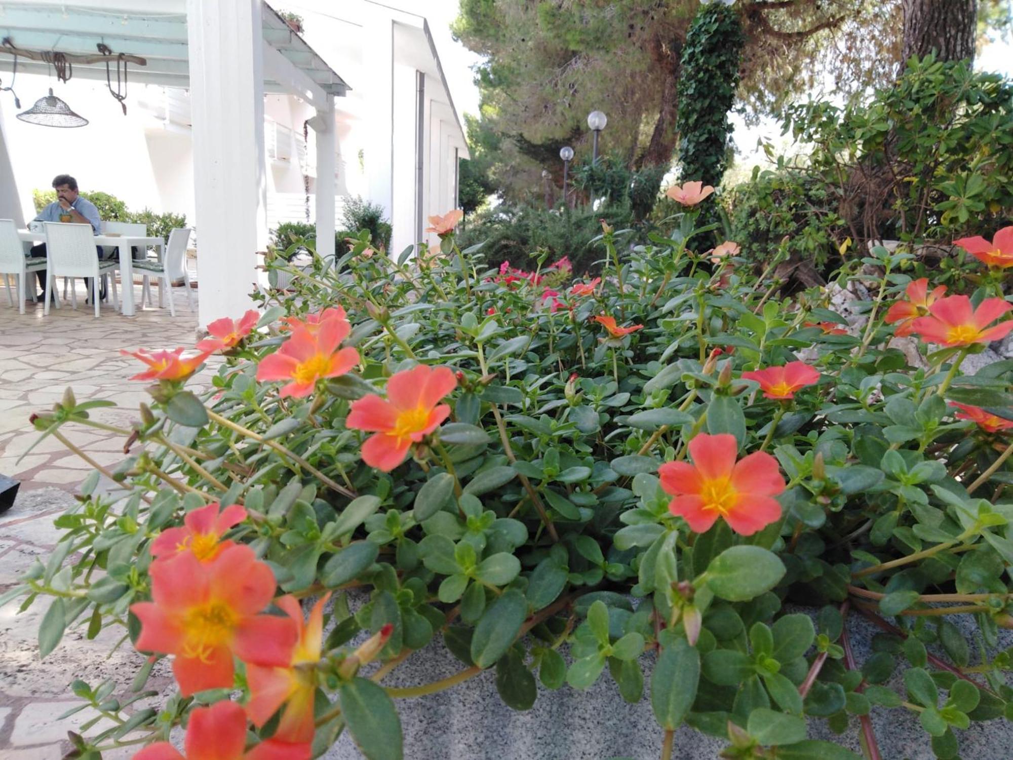 Aparthotel Raggio Di Sole Alberobello Exteriér fotografie