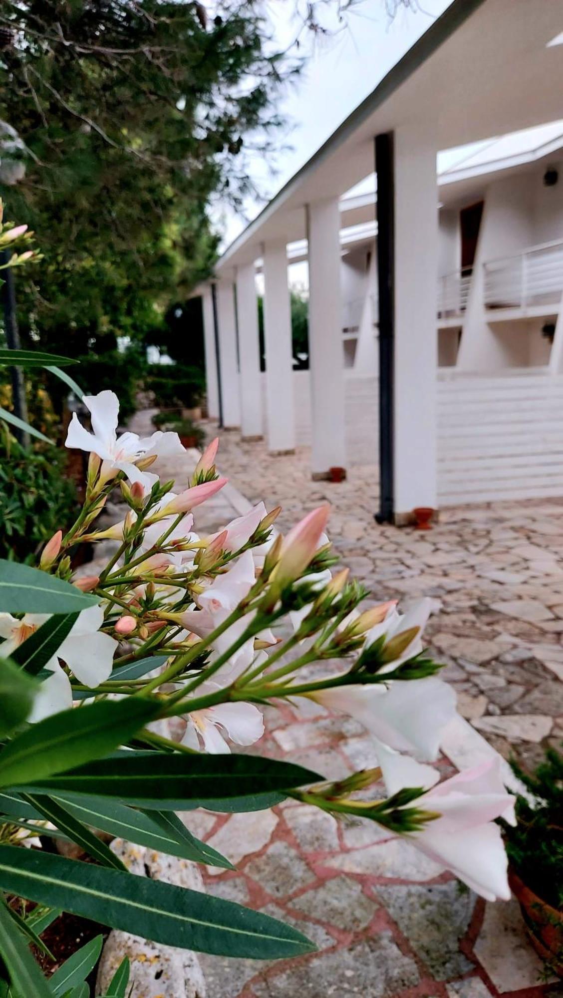 Aparthotel Raggio Di Sole Alberobello Exteriér fotografie